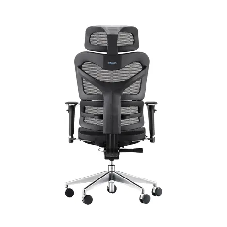 Dorsum - Executive Ergonomic Mesh Chair